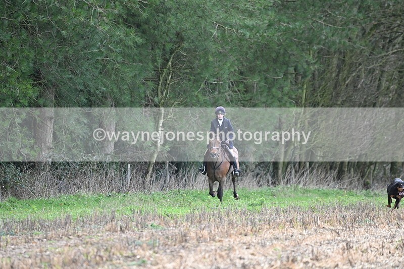 WJ6_9501 - Line Four