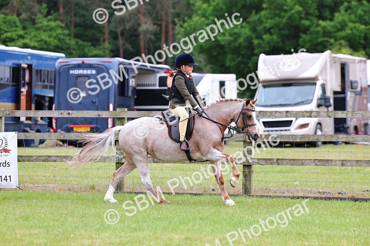SBM_09691 - Class 44-45 - LIHS BSPS Open Nursery and Cradle Stakes