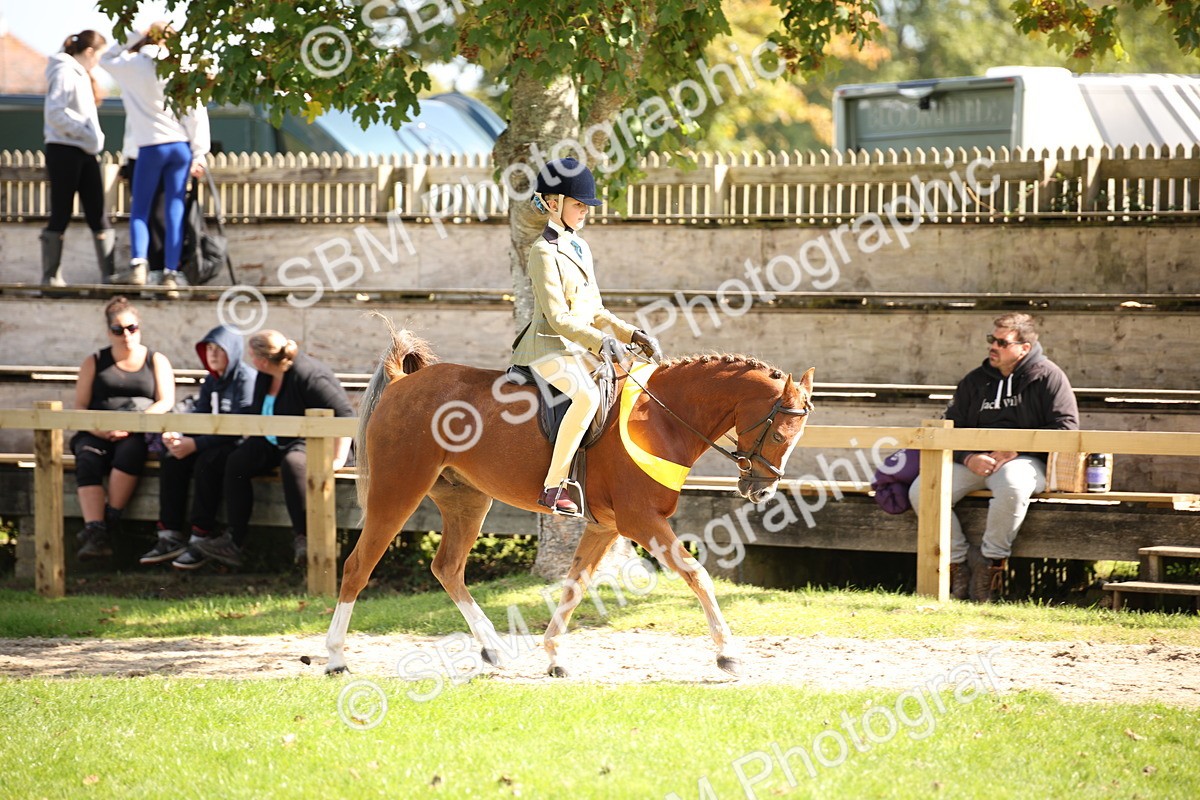 SBM_40882 - Fun Showing Supreme Championship