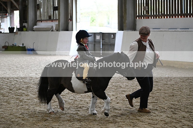 WJ7_4565 - Afternoon Champs