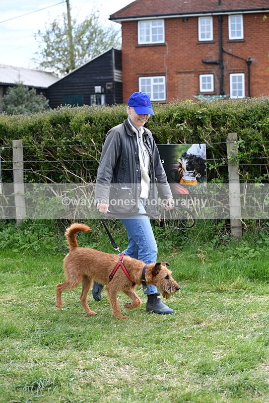 WJ5_0266 - Class 7 Best Terrier