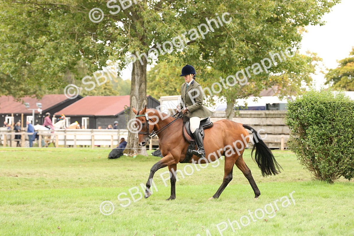 SBM_64227 - S65 - Riding Horse & Hack & Thoroughbred Ridden