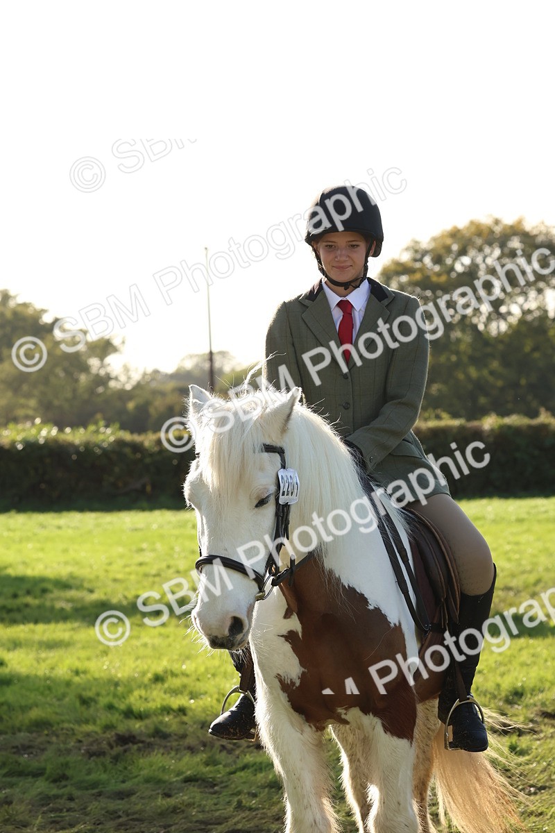 SBM_52658 - S13 - Pony Club Pony