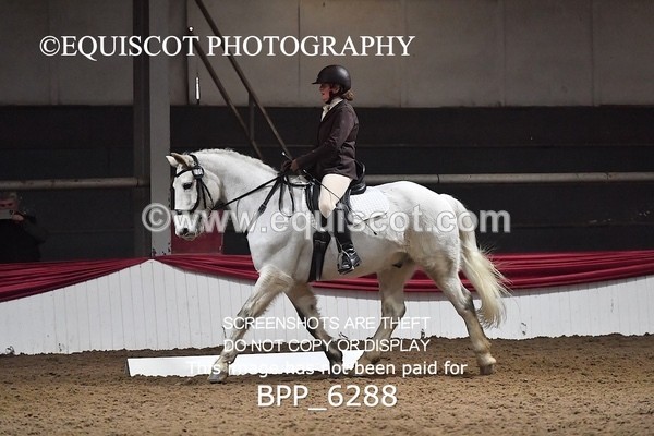 BPP_6288 - 5 Alison Drummond