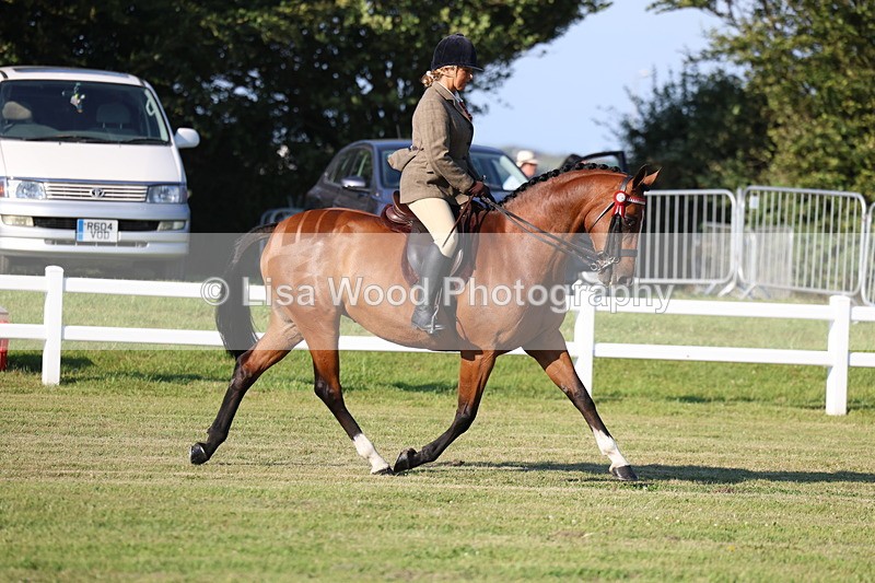 3E7A4919 - Class 1: Rising Star Small Hack/Riding Horses