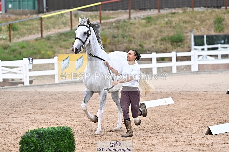 250716-170147-00799 - Trot Up 4.30 to 5.00