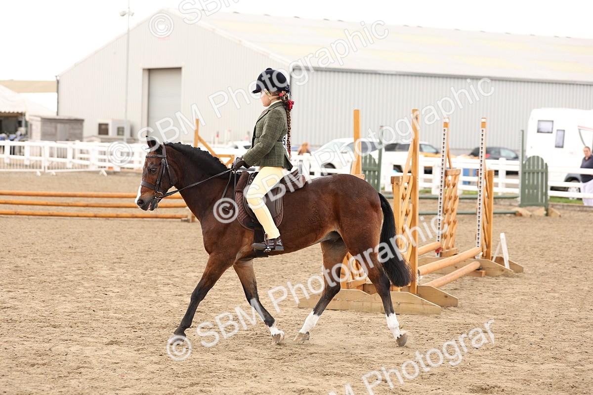 SBM_02896 - Class 53 - Ridden Competition Horse/Pony