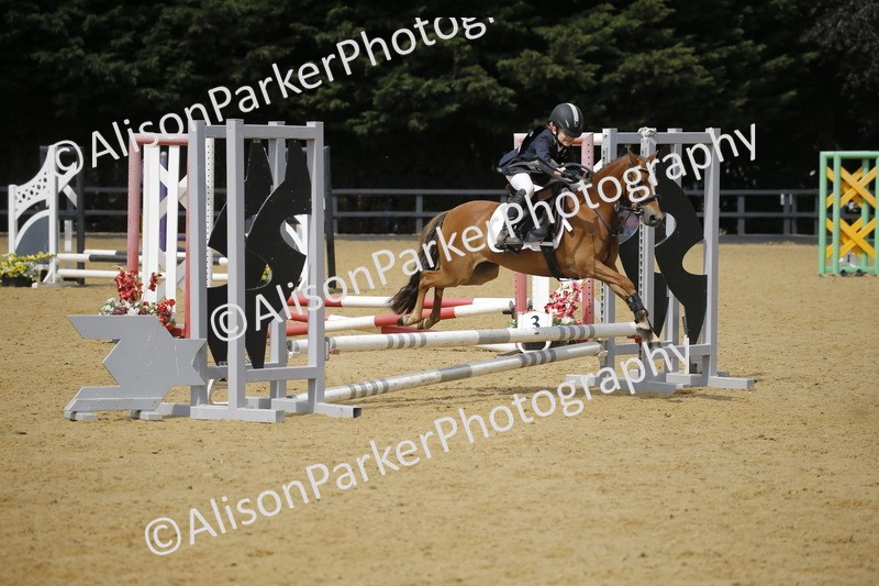 20250622-3947 - 50cm