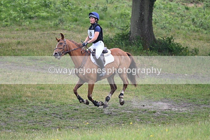 WJ7_9369 - Time 11:26 to 11:40