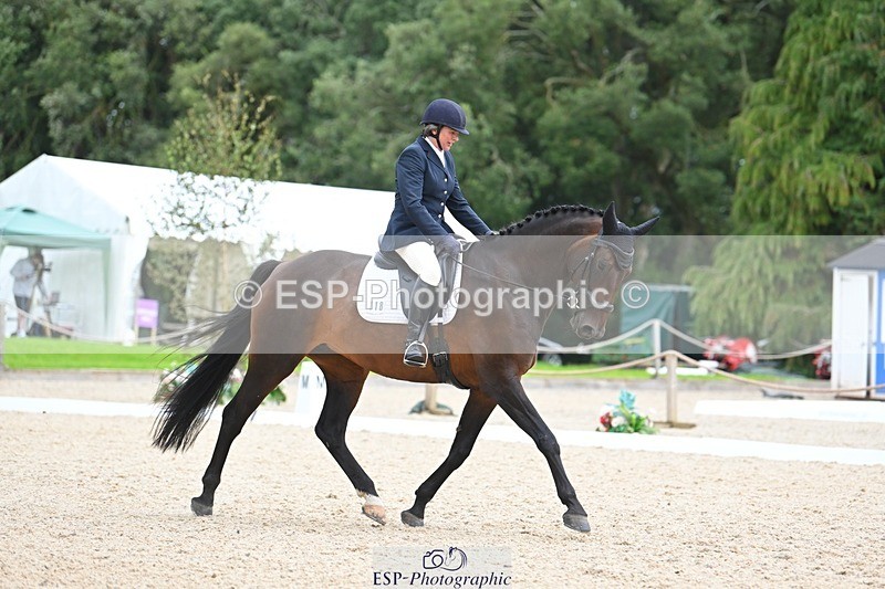 230813-143828-07801 - Cls 13 Medium Bronze 13.15 to End