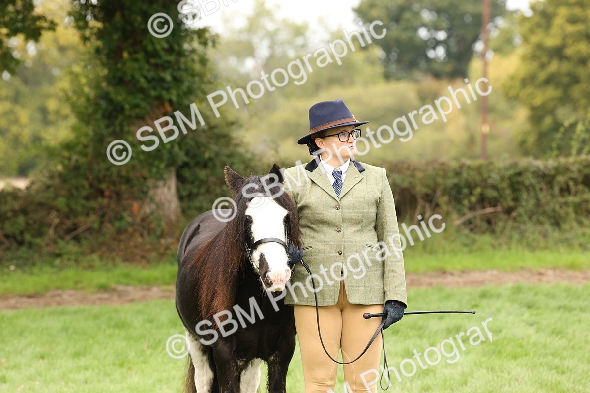 SBM_59324 - S57 - Traditional Cob In Hand
