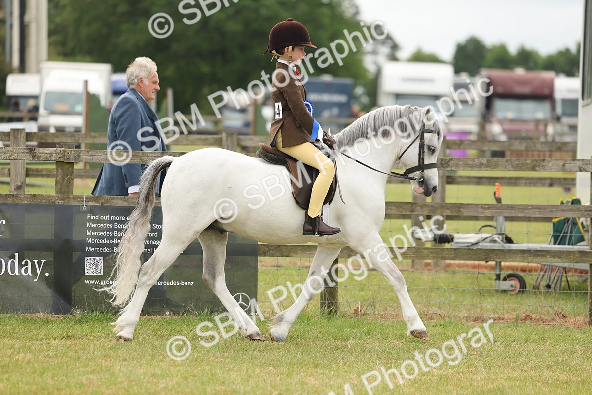 SBM_06966 - Class 74-75 - M&M Lead Rein and First Ridden Pony