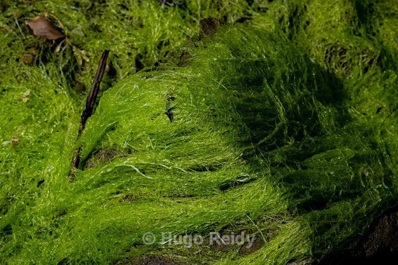 - Boat Graveyard Brittany