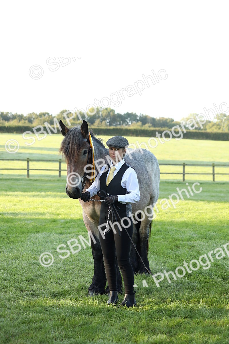 SBM_57889 - S42 - Youngstock