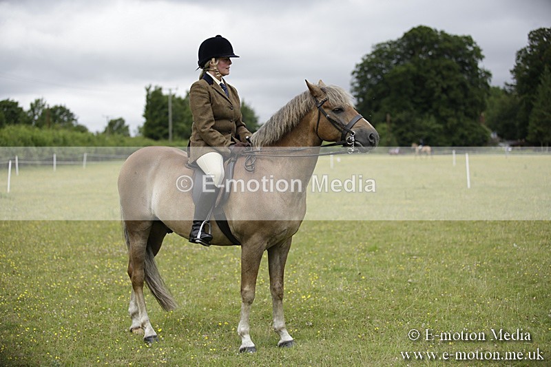 BVR160717-1328 - Ring 1 BVRC Show 16/07/17