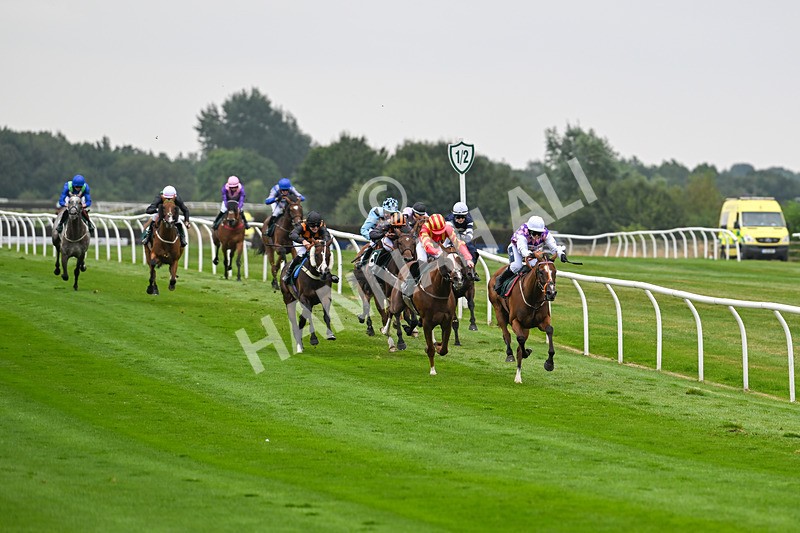 190824-Race 1-Shes A Novelty-3261 - Race 1