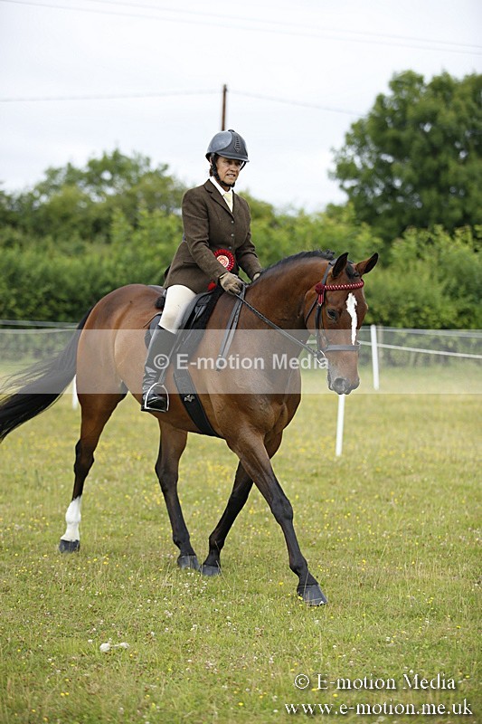 BVR160717-327 - Ring 1 BVRC Show 16/07/17