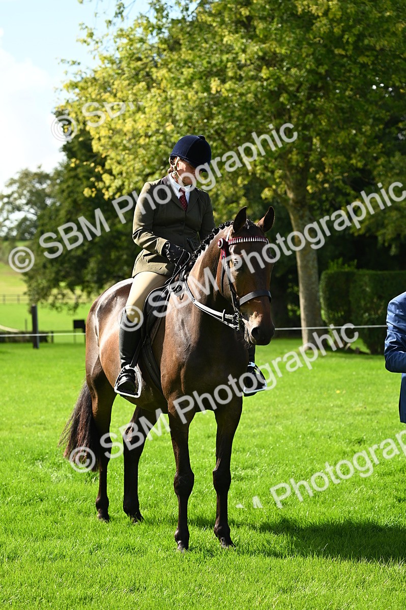 SBM_02102 - S2 - TSR Ridden Horse Showing