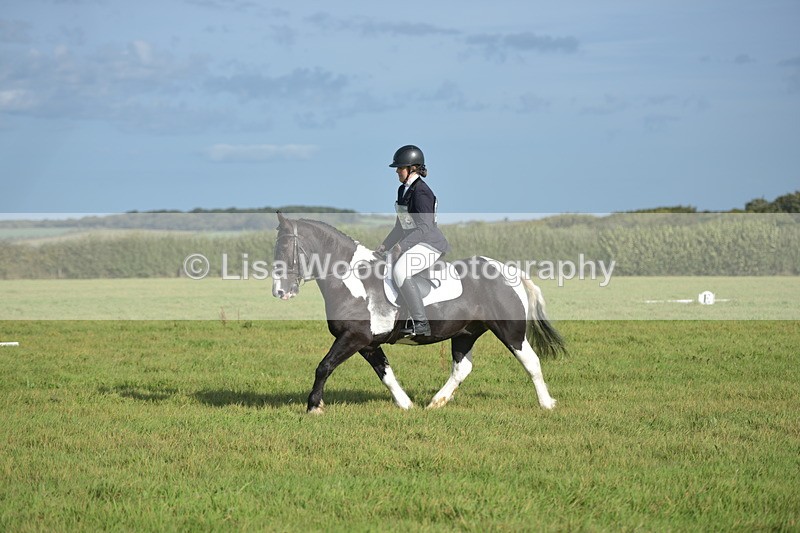 RAY_7304 - Class 2B: Trekenning Open: Dressage