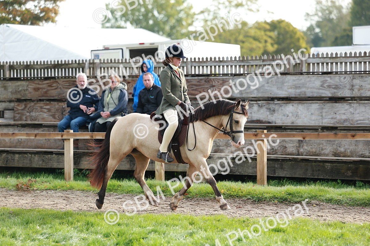 SBM_56334 - S39 - Starters In Hand Showing