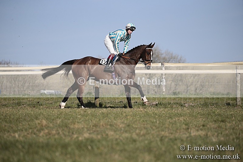 PtP 240218 230 - Vine & Craven Hunt Point-to-Point Barbury racecourse 24/02/18