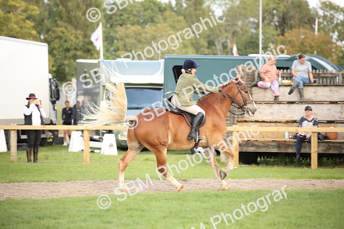 SBM_50219 - S26 - Young Veteran - Ridden