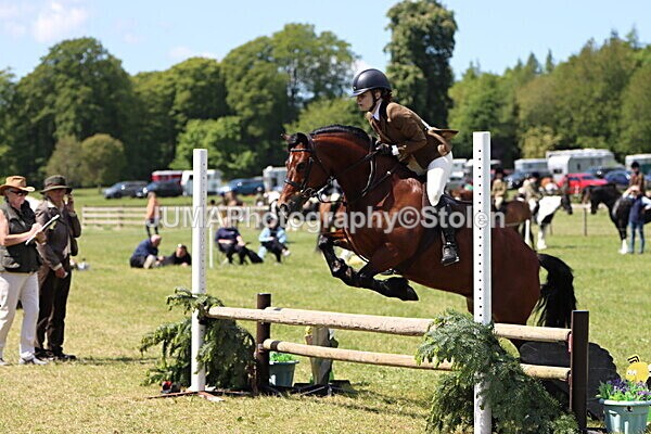 IMG_3746 - Working Hunter