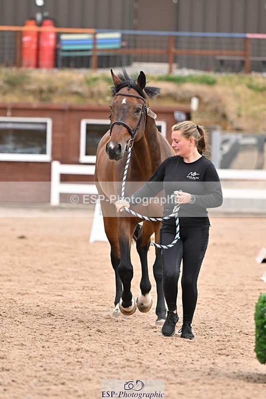 250716-152631-01948 - Trot Up 2.30 to 3.30