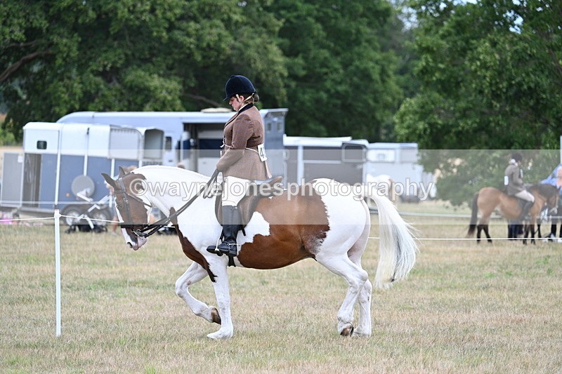 WJ7_4946 - Class 12 Ridden Cob