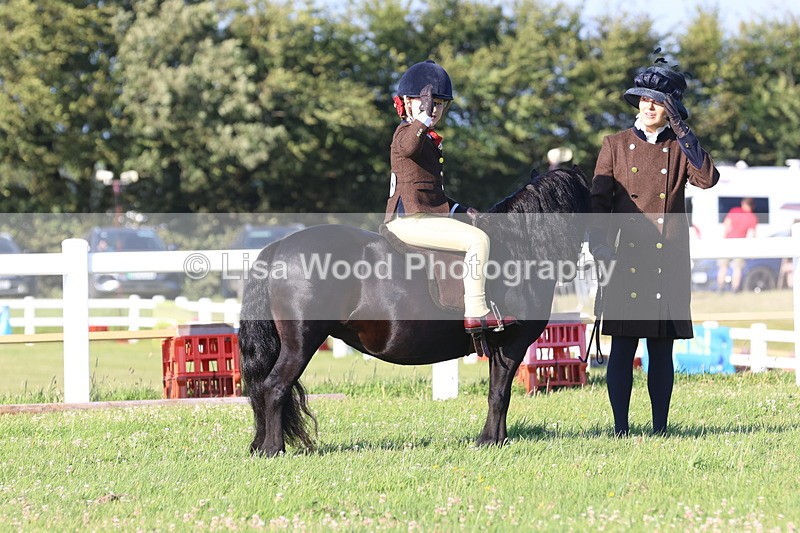 JPP_0694 - Class 16: Cornish Combination Leading Rein