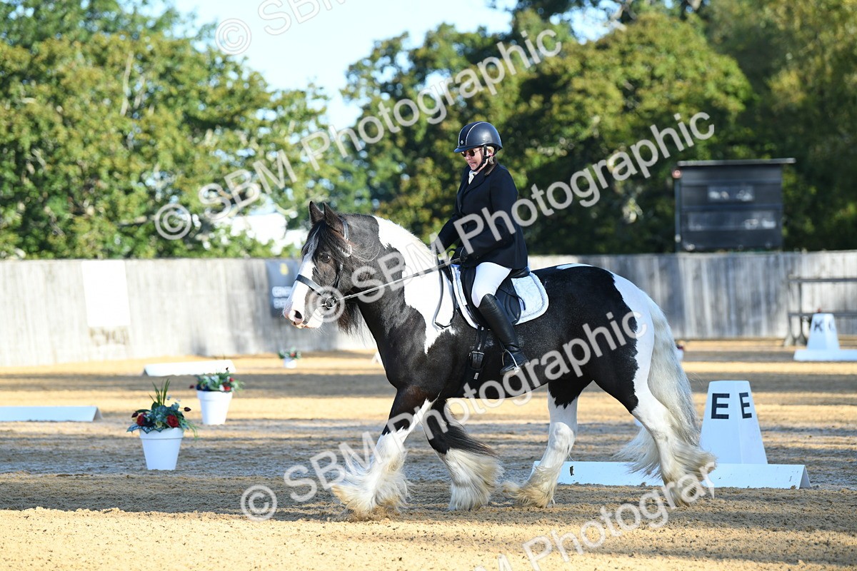 SBM_14466 - D4 - Small Tour Championship - Intro B