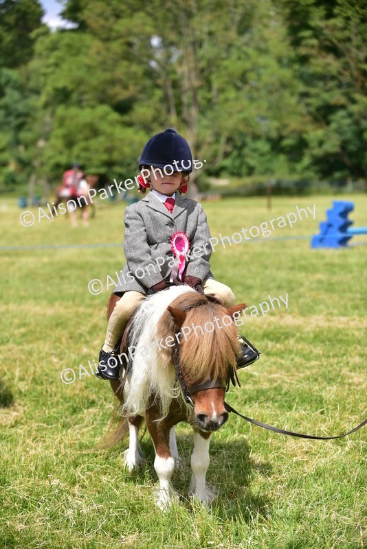 20260614-1332 - Class 11a - Lead Rein Pony (Unplaited)