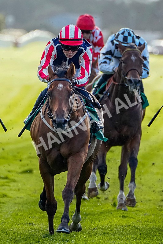 050926-Race 8-Nyman-2 - Race 8 5.35pm Thirsk Racecourse Ideal Conference & Events Venue Handicap (Div II)