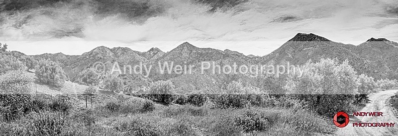 190517-untitled-1L4A1266-Edit-Edit-Edit - Abroad