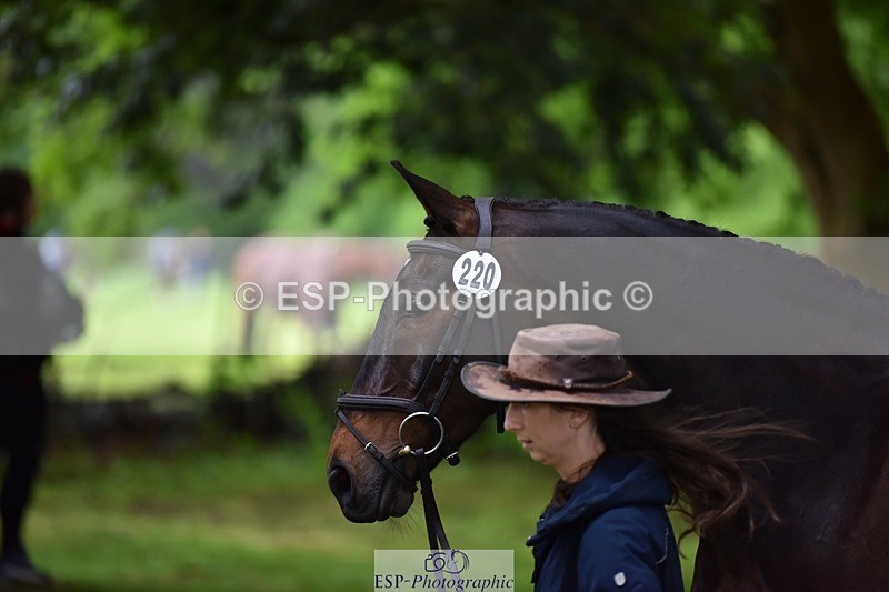 240522-164652-01151 - 220-BALLINAMURRA_FLARE_STAR-Mary_Mason