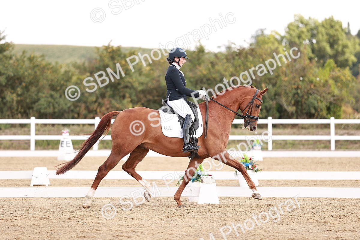 SBM_017677 - Class 11 - Advanced Medium 6