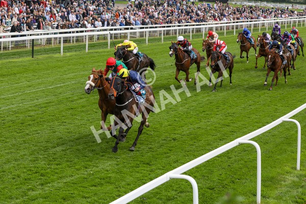 160524-Race 2-Point Lynas-1805 - Race 2 2.45pm Oakmere Homes Hambleton Handicap