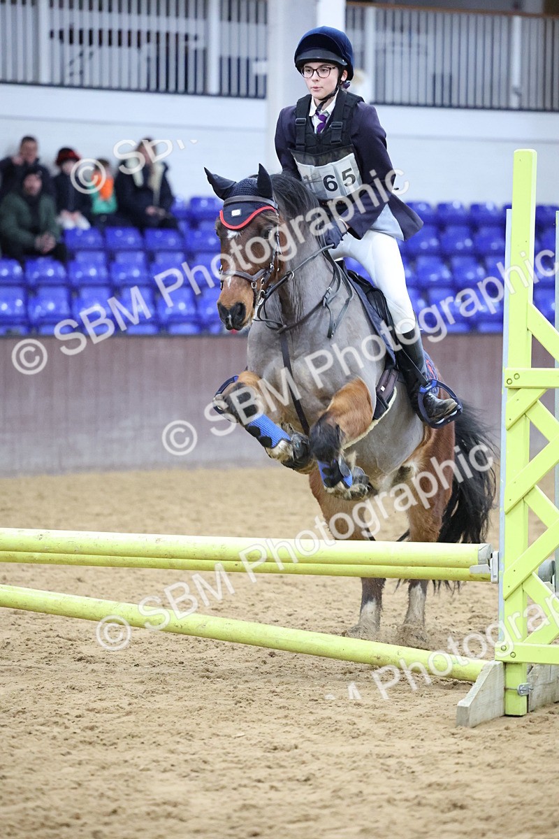 SBM_000972 - Class 3 - Christmas Tree Stakes - 60cm