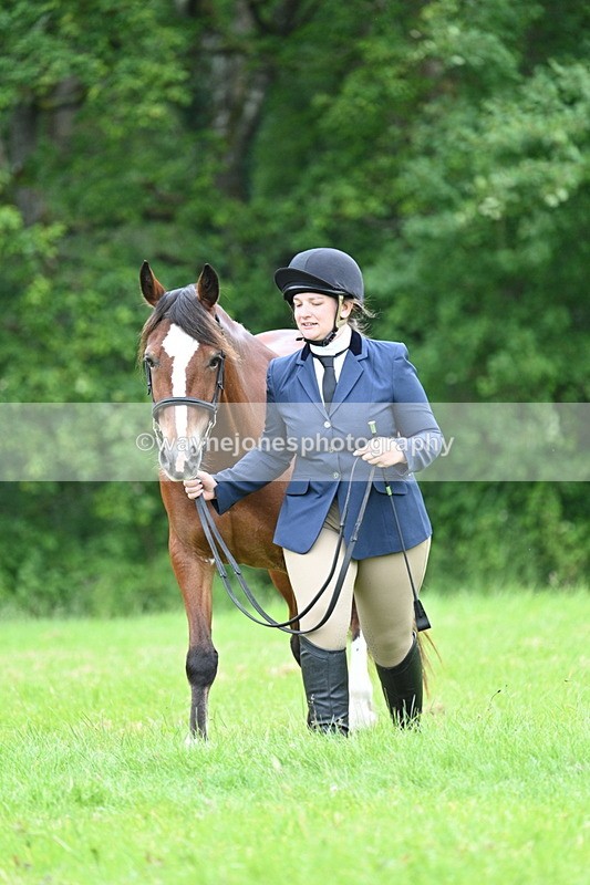 WJ7_4388 - Class 14B Prettiest Mare