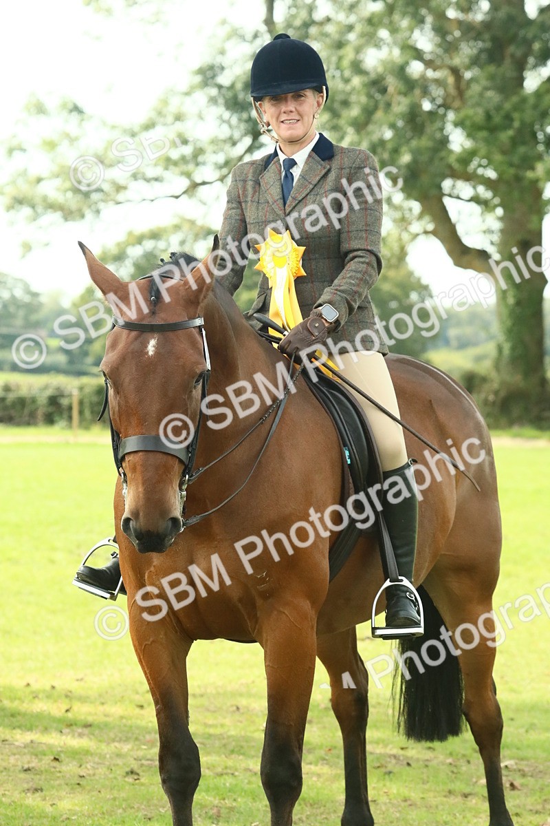 SBM_66785 - S34 - Rehabilitated Rescue Horse & Pony In Hand & Ridden