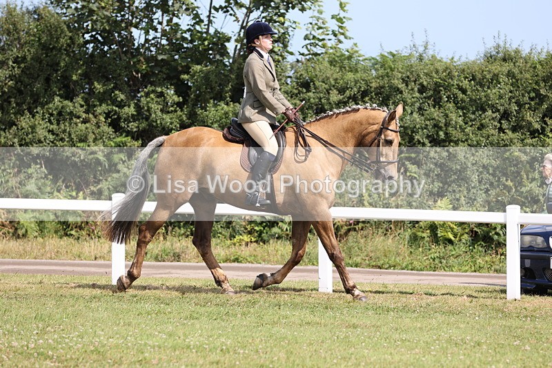 JPP_1117 - Class 17: Cornish Combination Open