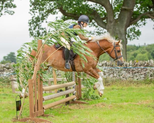 Dunblane show-346 - Dunblane and Doune Show Ring 1
