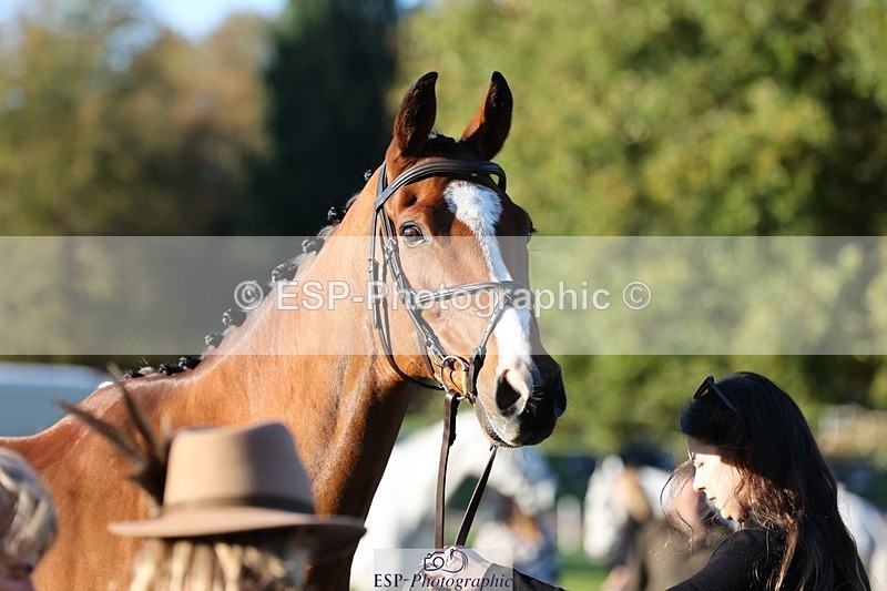 241027-084018-14734 - 383-Kirstin.Elisa.Evans-MONTY.GUIRY