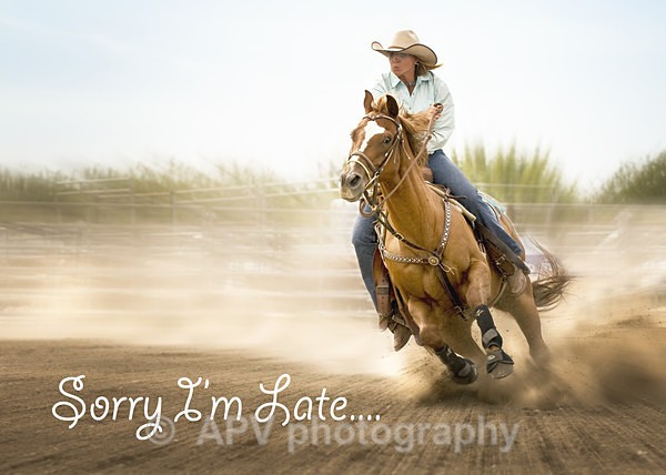 The Barrel Racer - A5 Size cards