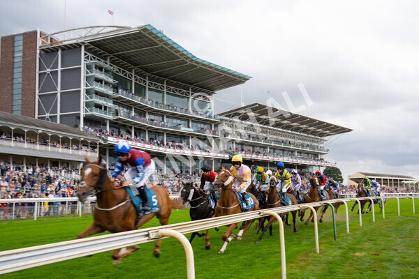 yr04092022r5-24 - Race 5 4.05pm Little Green Rascals Children's Nurseries Stakes