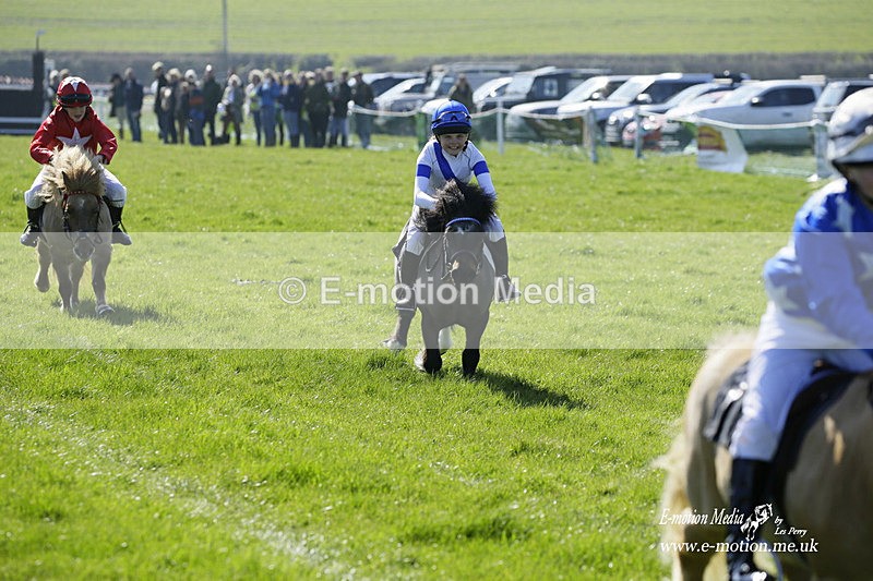PtP 190322 21 - Wilton Hunt PtP Milborne St Andrew 19/03/22