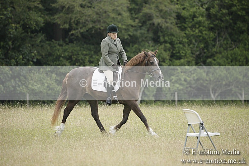 B230619-0020 - Bourne Valley Riding Club Summer Show 23/06/19