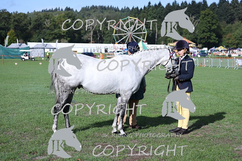 APP_2541 - Class 18 Young Handler