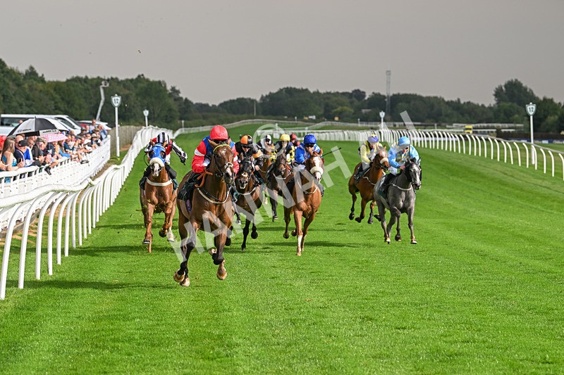 280824-Race 4-Desert Dream-4389 - Race 4