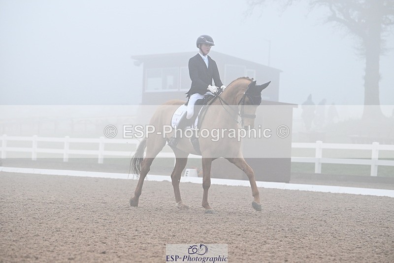 240217A-131410-02774 - 271-Tom.Carter-Rubin.Regal